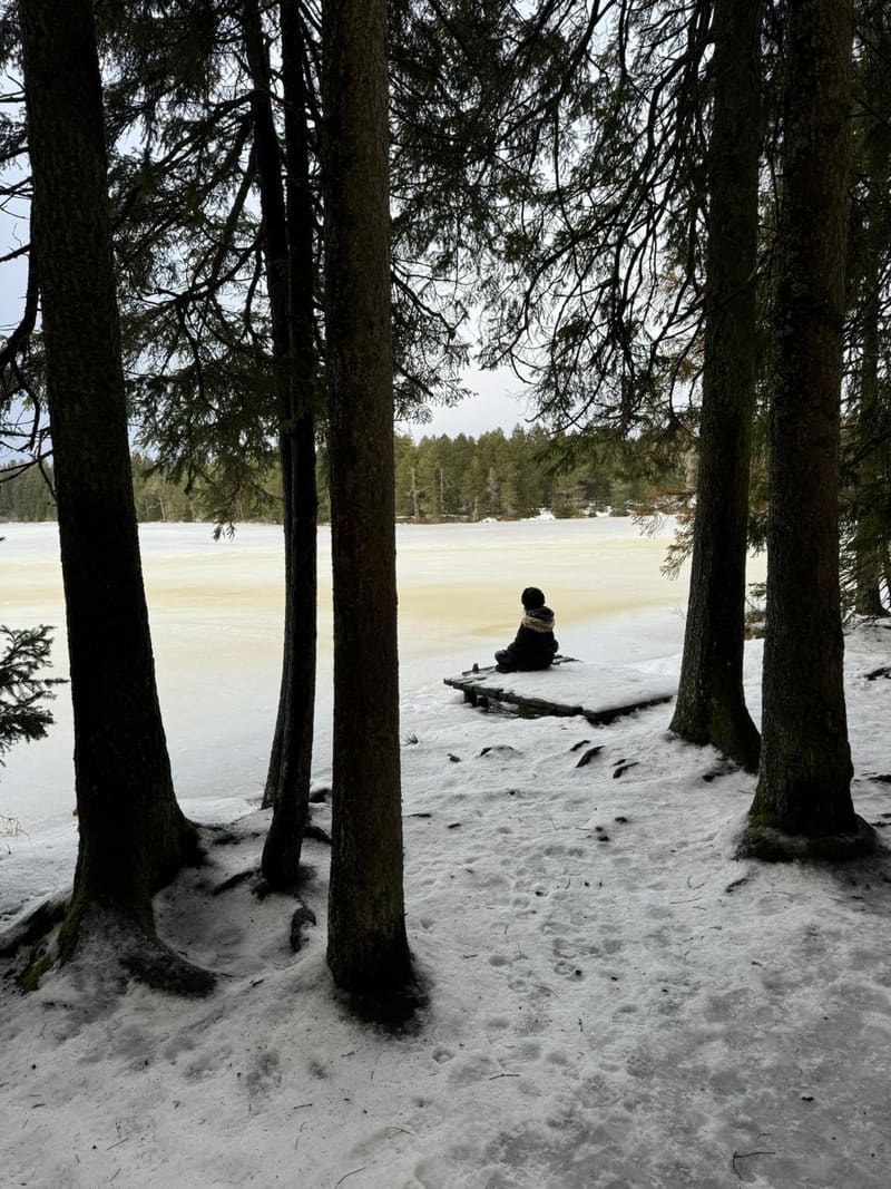 Lina sitting alone on a snowy jetty by a frozen lake, framed by tall pines